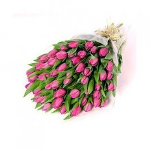 Букет 51 розовый тюльпан